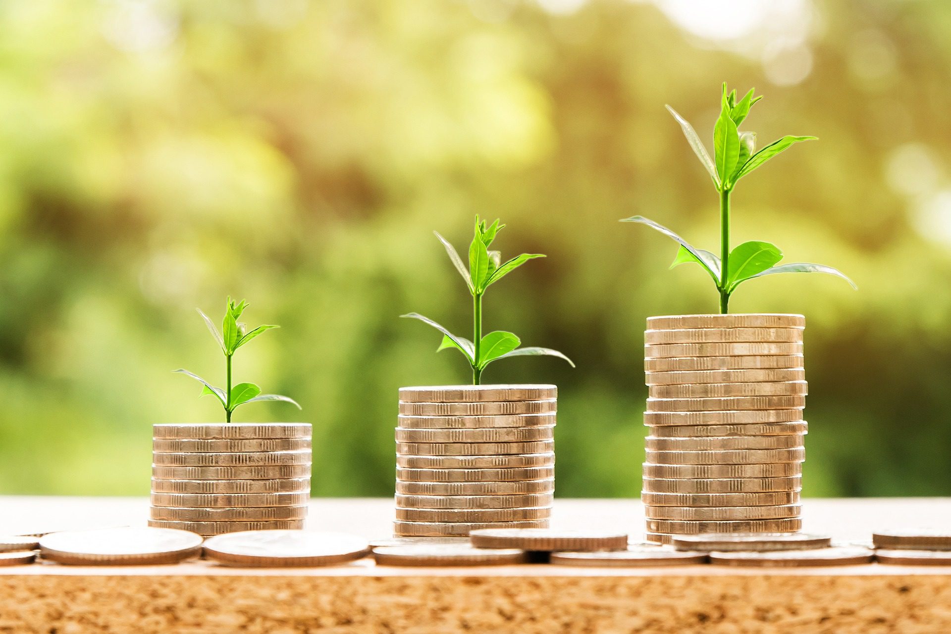 Southeast Asian Start-Ups - Image from pixabay by nattanan23